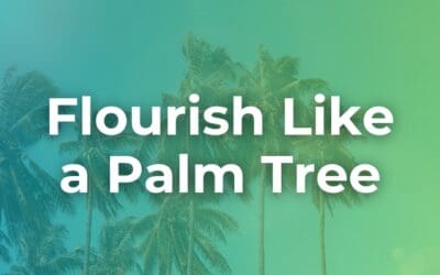 Flourish Like a Palm Tree