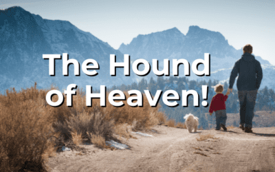 The Hound of Heaven!