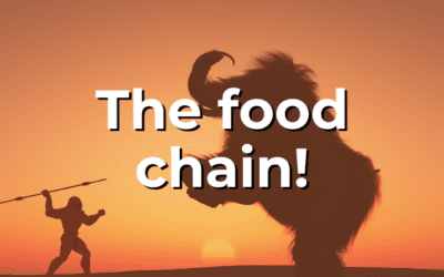 The food chain!