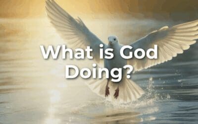 What is God doing? 