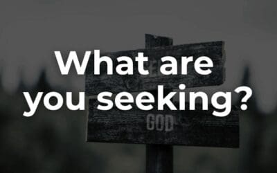 What are you seeking?