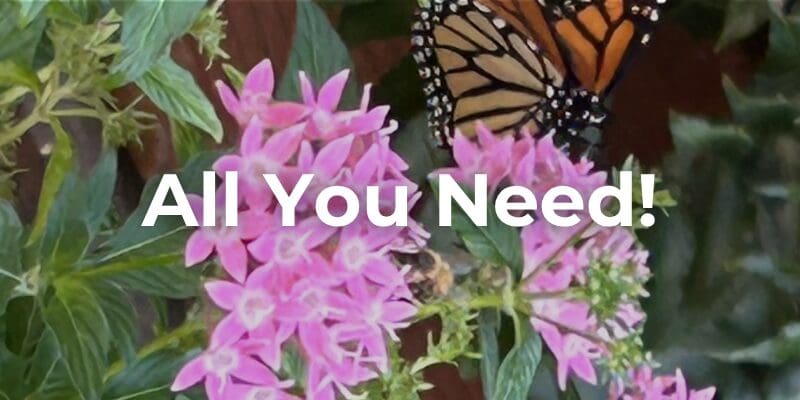 All You Need!