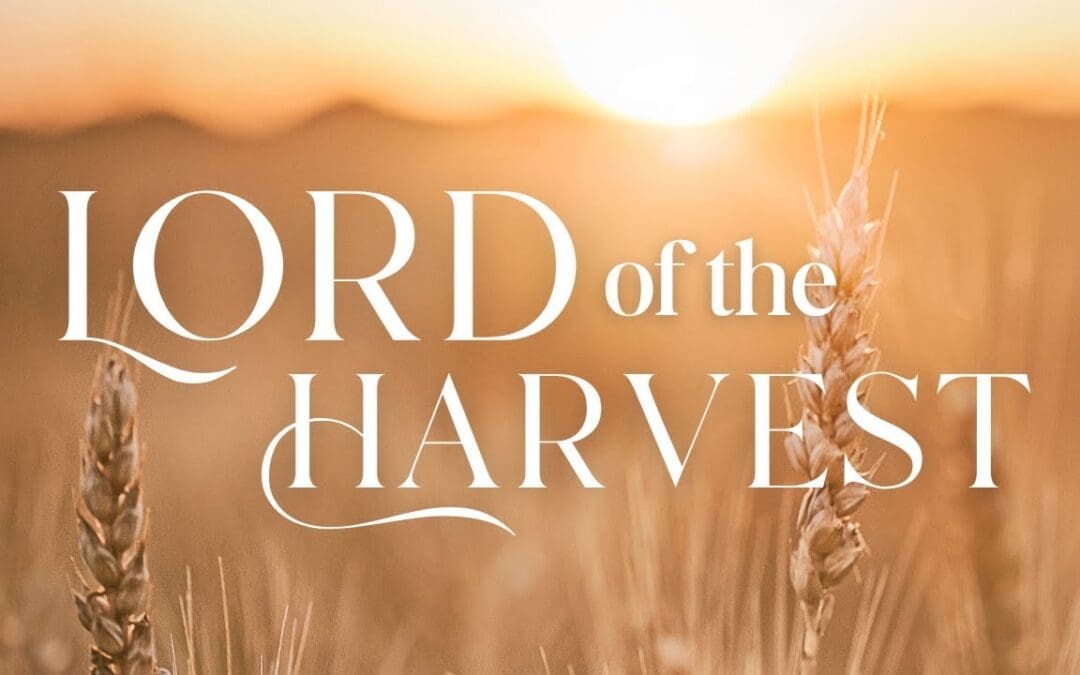 Lord Of The Harvest!