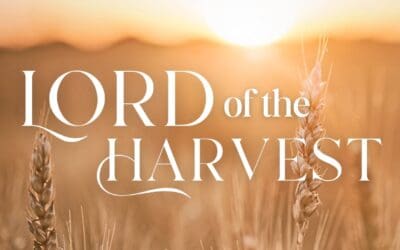 Lord Of The Harvest!